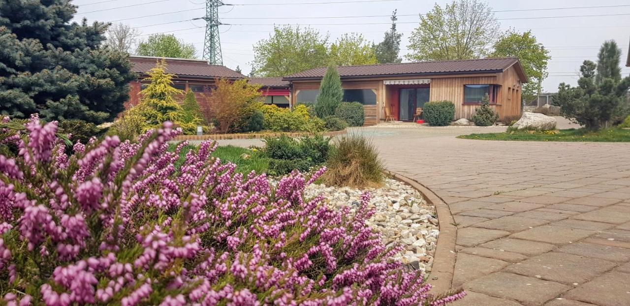 Villa Ranč Orlice Třebechovice pod Orebem Exterior foto